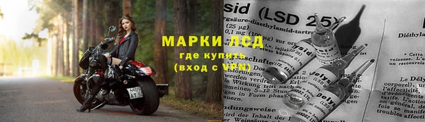 эйфоретик Алзамай